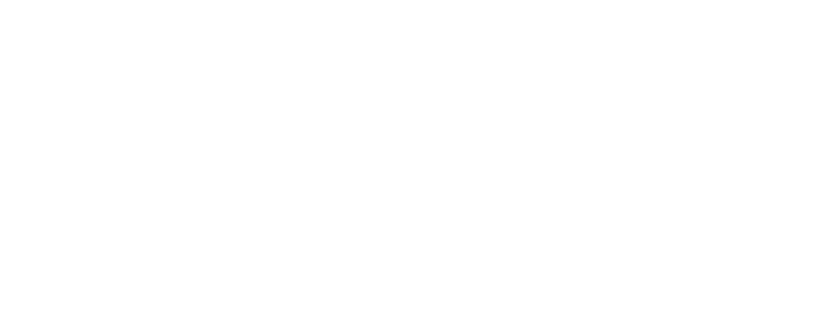 logo brema80